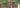 Jason Zawadzki: Founder, Craftsman, Waterman, and Community Builder