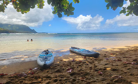 Brandon L. — Paradise paddleboard