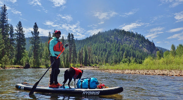 JoyRide XL All-Around Paddle Board