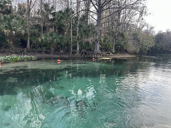 Josh J. — JoyRide paddleboard