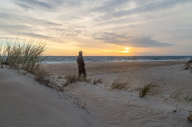 Cape Henlopen State Park at dawn, Delaware Bay waters reflecting the early light