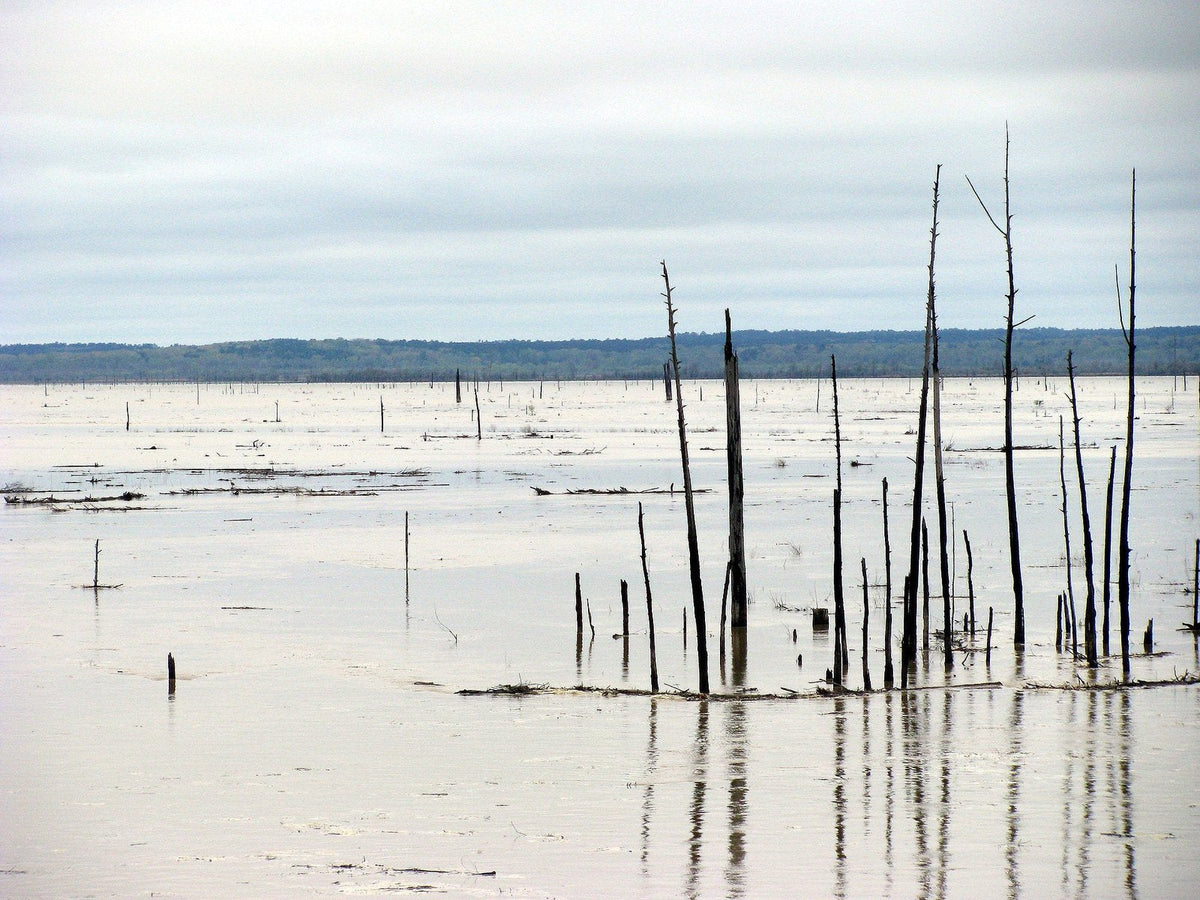 Grenada Lake in north Mississippi, a top paddleboarding destination