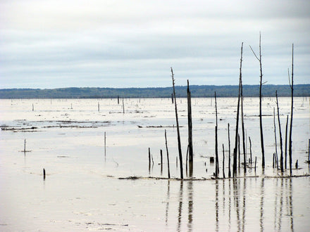 Grenada Lake in north Mississippi, a top paddleboarding destination