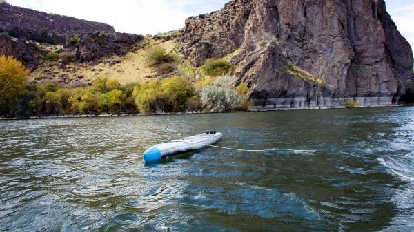 Navigating Your Standup Paddleboard on a River