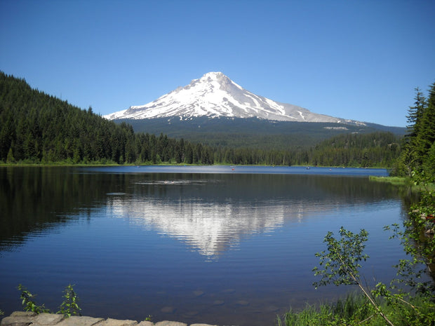 Snow-capped Mount Hood reflected in the calm blue water of Trillium Lake, a popular Oregon paddleboarding spot