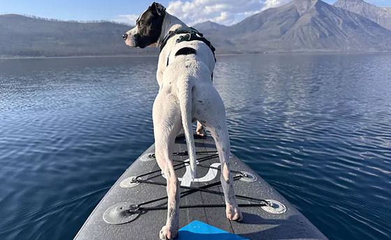 Kalsi — JoyRide paddleboard
