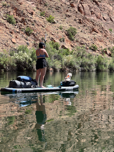 JoyRide All-Around Paddle Board ISUP Hydrus 